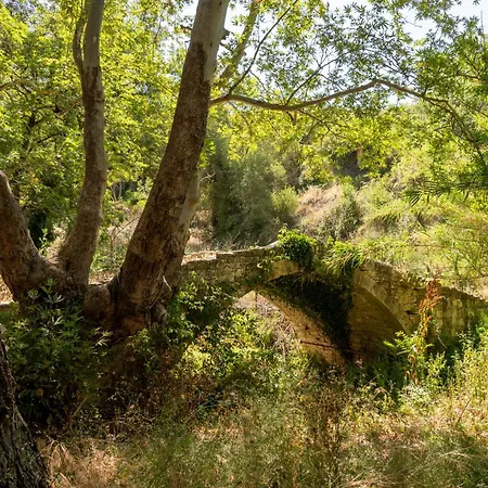 Traditional Stone House In Vouni, Quiet With Courtyard & Bbq Hébergement de vacances
